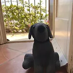 Finestra Sul Mare Apartmán Bari