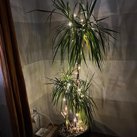 Finestra Sul Mare Bari