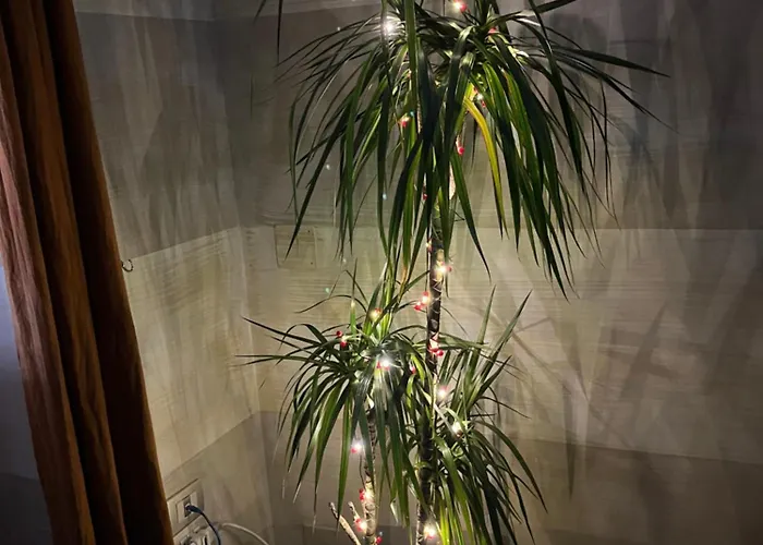 Finestra Sul Mare バーリ